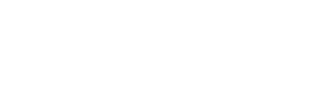 light logo